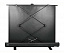 Экран Cactus 90x120см FloorExpert CS-PSFLE-120X90 4:3 напольный рулонный
